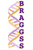 Image: BRAGGS logo