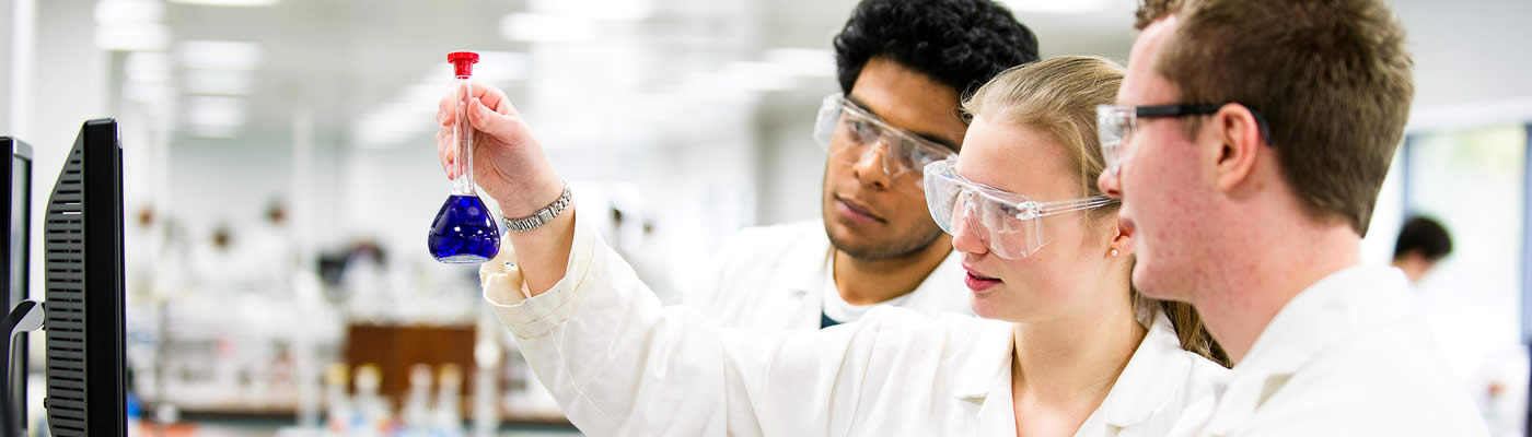 Researchers in the lab