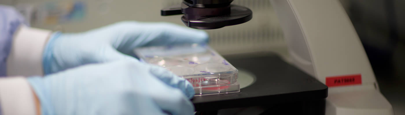 Image: Researcher in lab