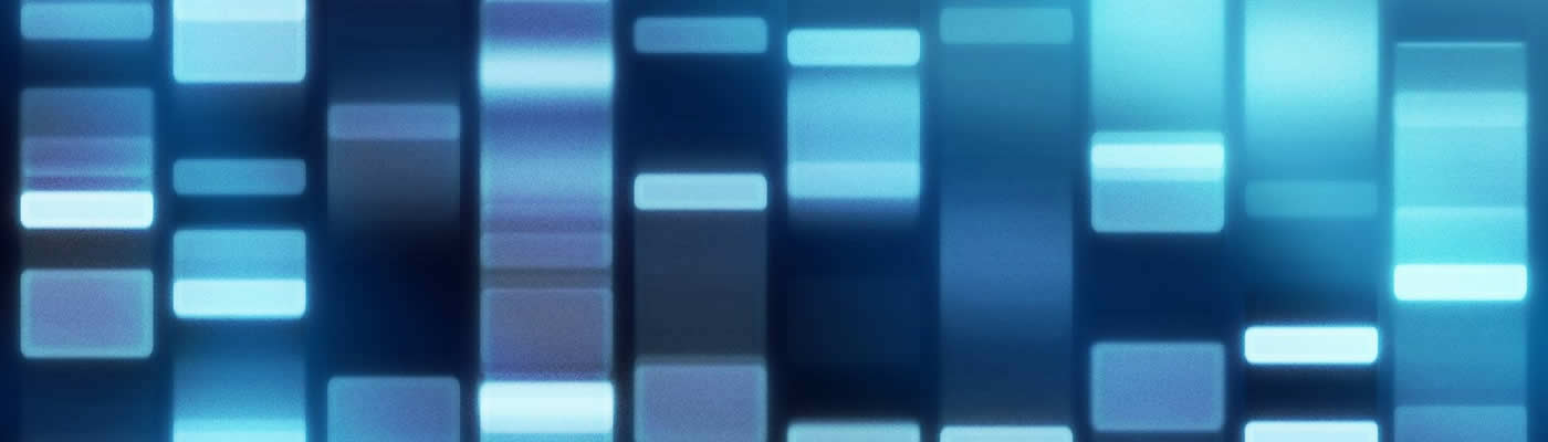 DNA fingerprint